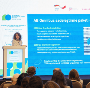 minerva-rbh-turkiye-1